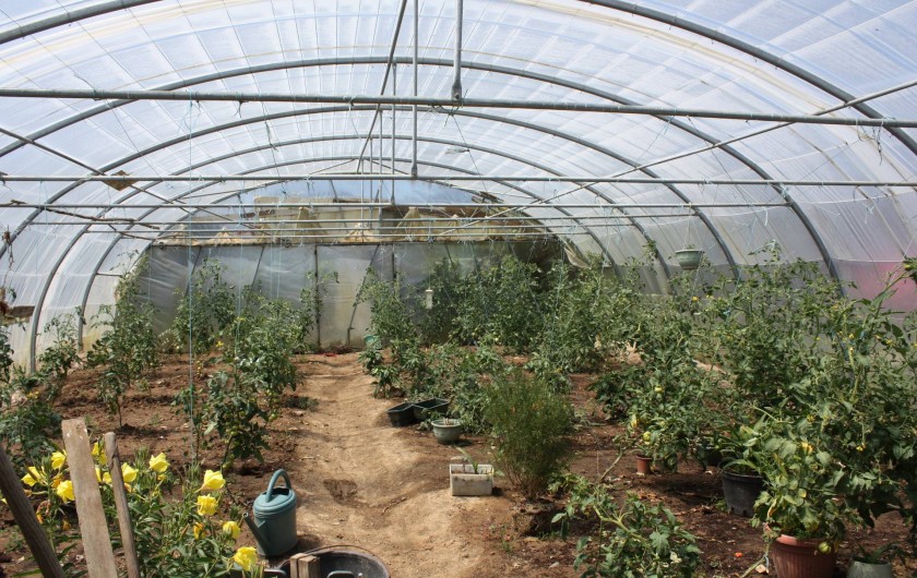 Location de vacances - Gîte à Saint-Pol-de-Léon - Jardin-potager