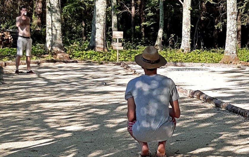 Location de vacances - Gîte à Bouillac