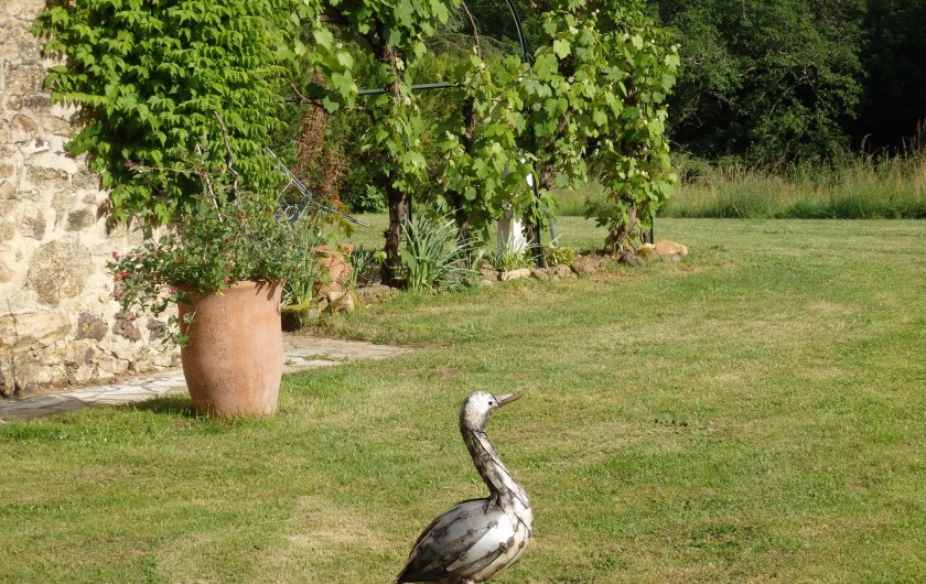 Location de vacances - Gîte à Bouillac