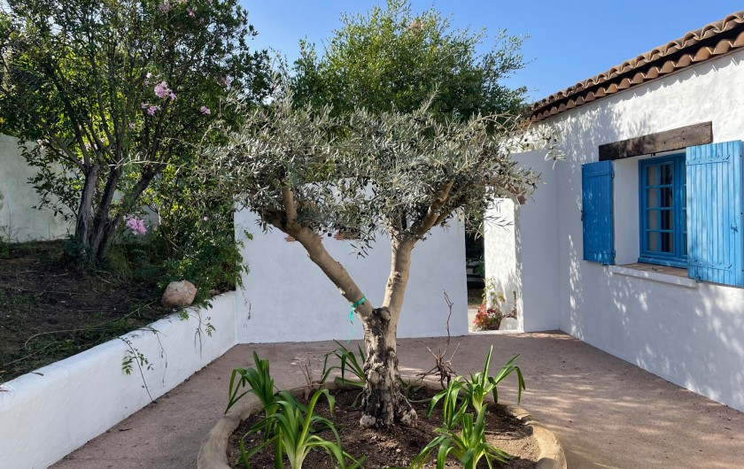 Location de vacances - Villa à Porticcio