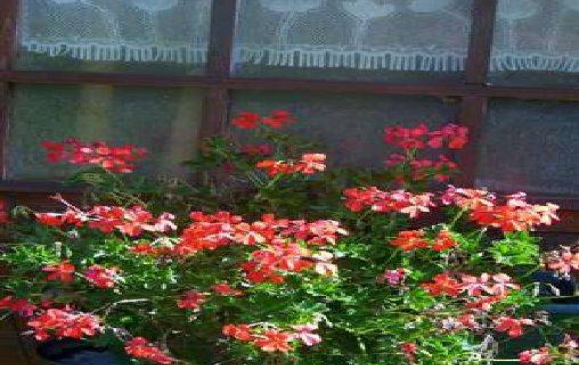 Location de vacances - Gîte à Vénosc