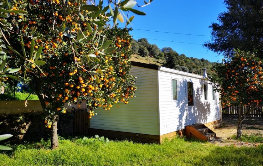 Location de vacances - Bungalow - Mobilhome à Ocana
