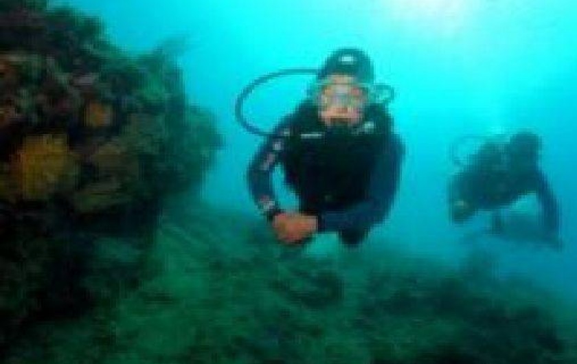 Location de vacances - Appartement à Frontignan