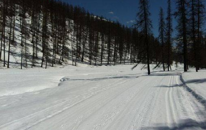 Location de vacances - Appartement à Puy-Saint-Vincent