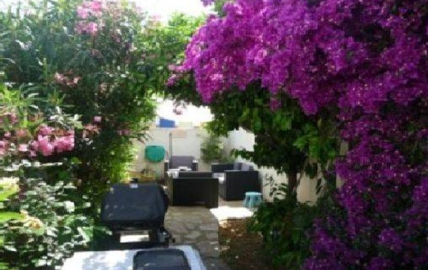 Location de vacances - Maison - Villa à Le Lavandou