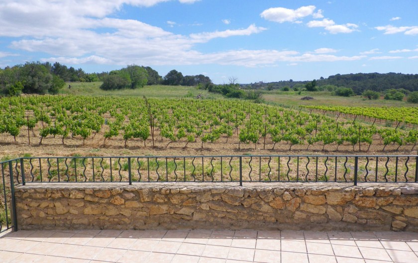 Location de vacances - Gîte à Montagnac