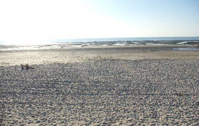Location de vacances - Maison - Villa à Fort-Mahon-Plage - Vue de la plage un matin
