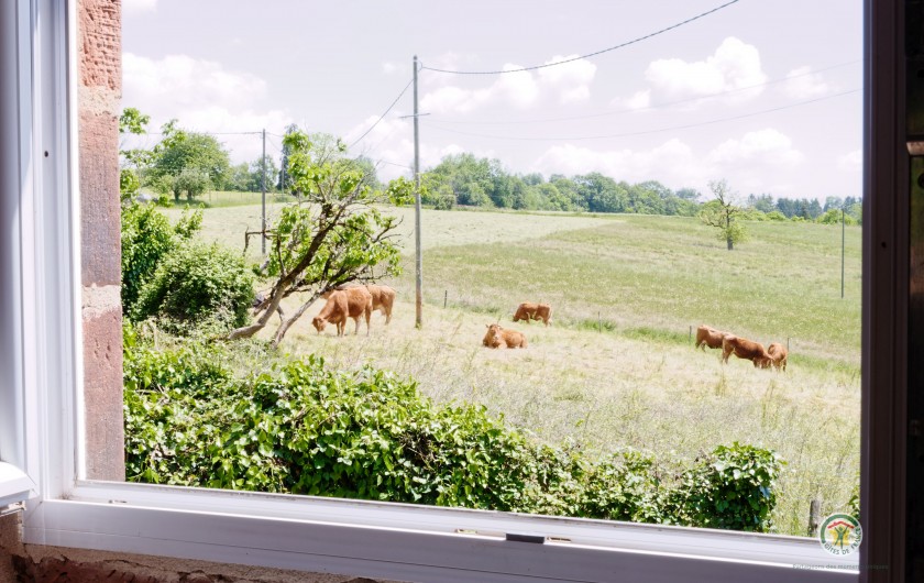 Location de vacances - Villa à Lagleygeolle