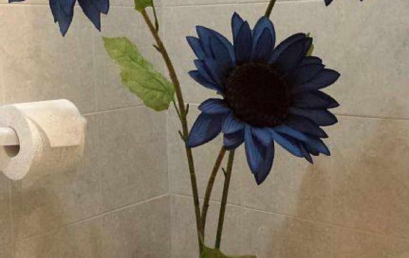 Location de vacances - Appartement à Torre Pali - salle de bain