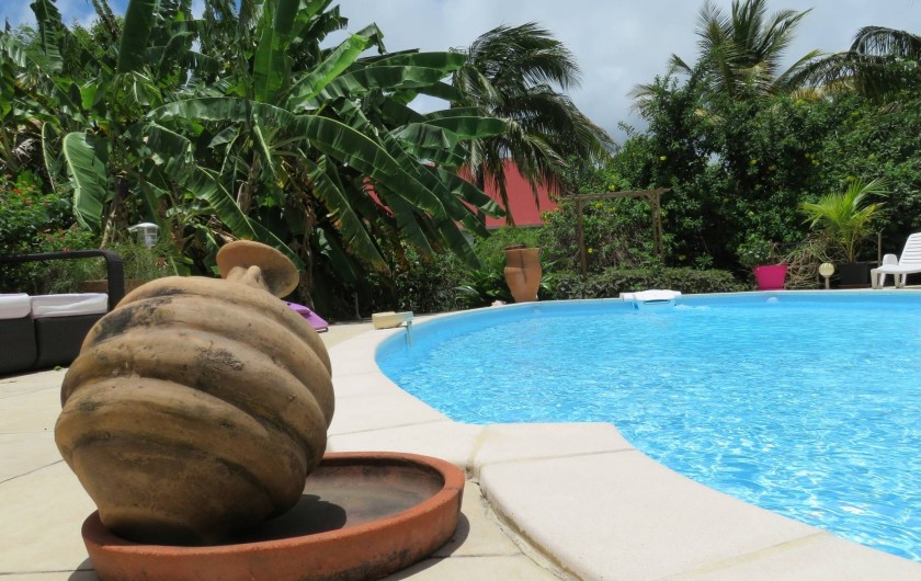 Location de vacances - Gîte à Le Moule - La piscine