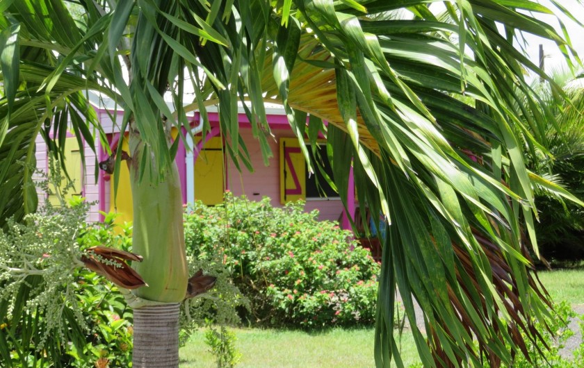 Location de vacances - Gîte à Le Moule - Gite vue du Jardin