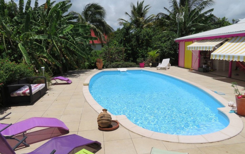Location de vacances - Gîte à Le Moule - La grande piscine et la bananeraie