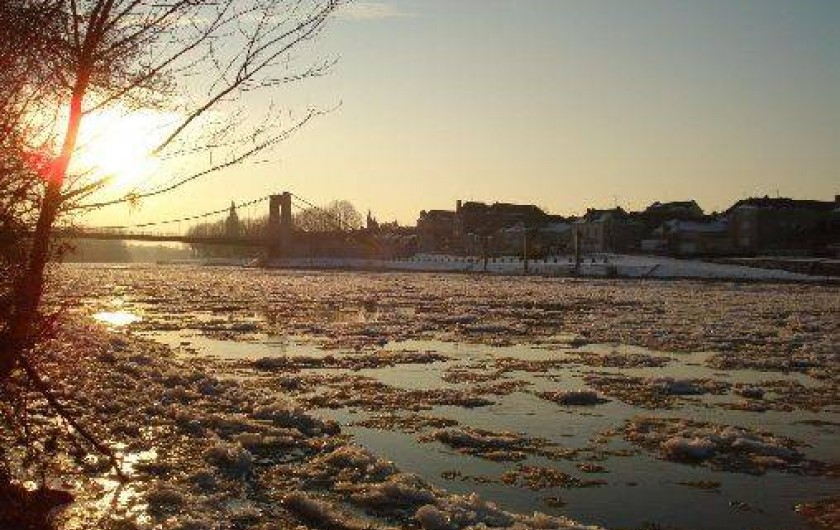 Location de vacances - Gîte à Chalonnes-sur-Loire