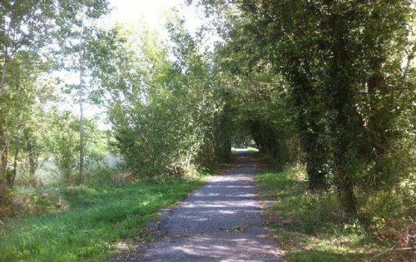 Location de vacances - Gîte à Chalonnes-sur-Loire