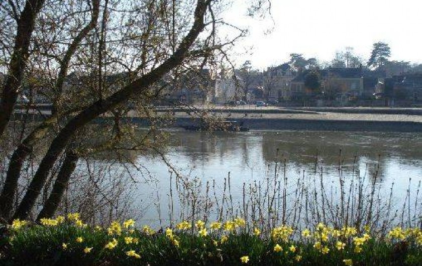 Location de vacances - Gîte à Chalonnes-sur-Loire