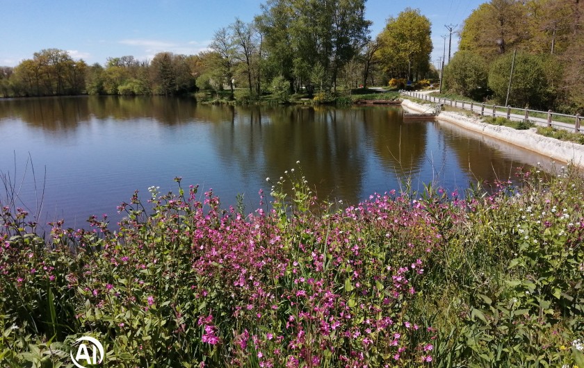 Location de vacances - Chalet à Champagnat - L'étang de Malleteix au printemps