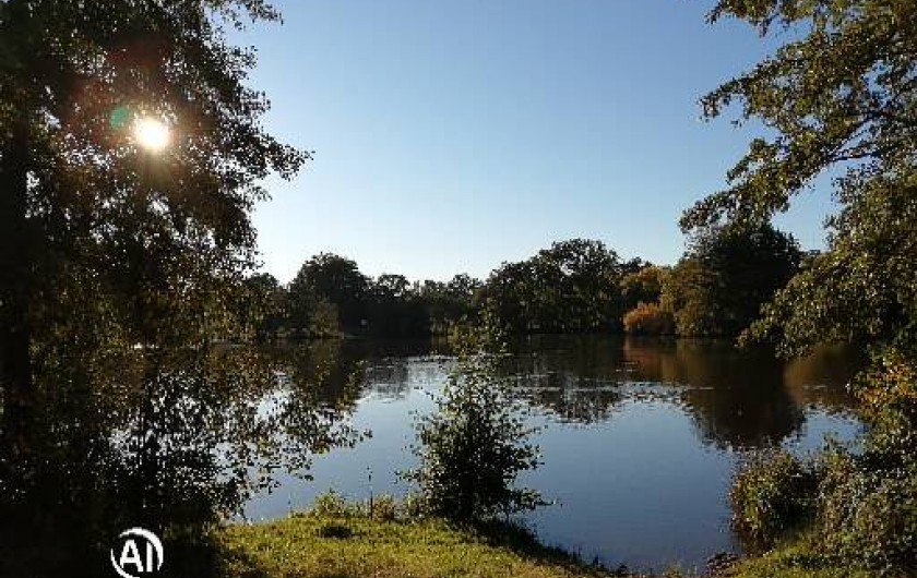 Location de vacances - Chalet à Champagnat - Etang de Malleteix