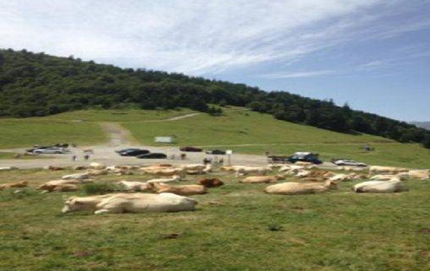 Location de vacances - Studio à Bagnères-de-Bigorre