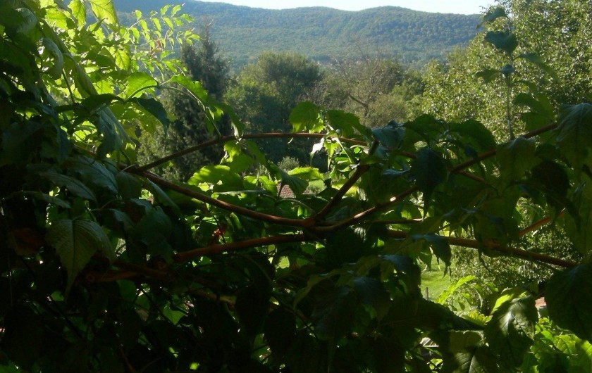 Location de vacances - Appartement à Casalzuigno