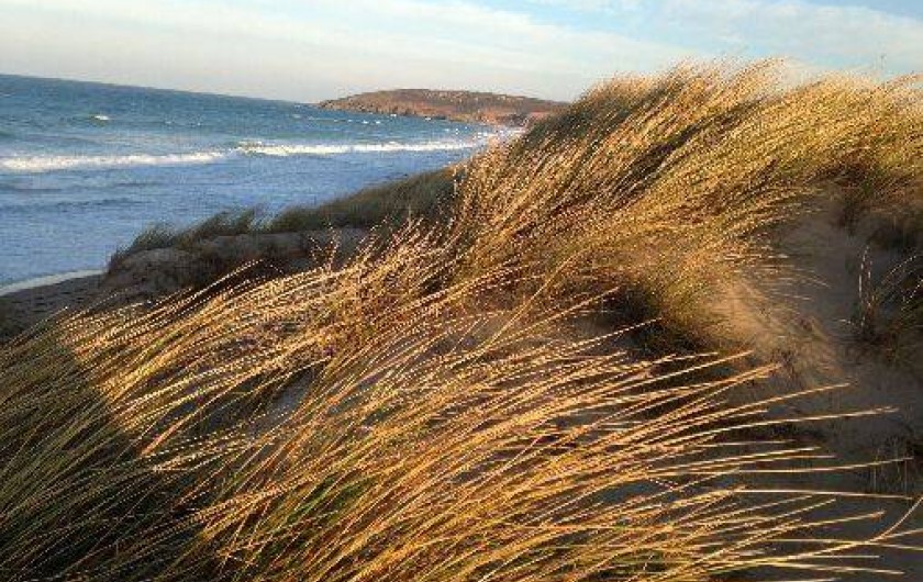 Location de vacances - Villa à Surtainville