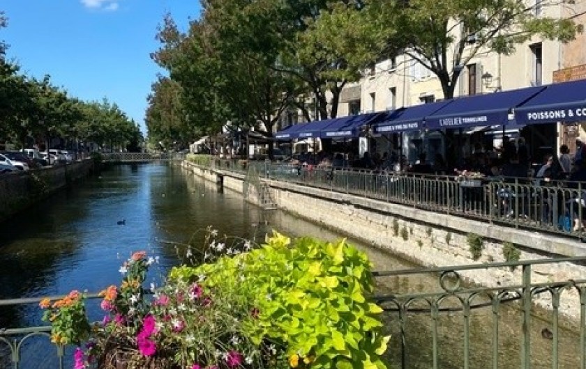 Location de vacances - Maison - Villa à L'Isle-sur-la-Sorgue