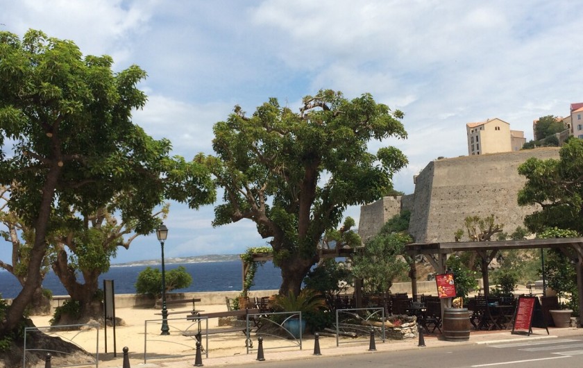 Location de vacances - Appartement à Calvi