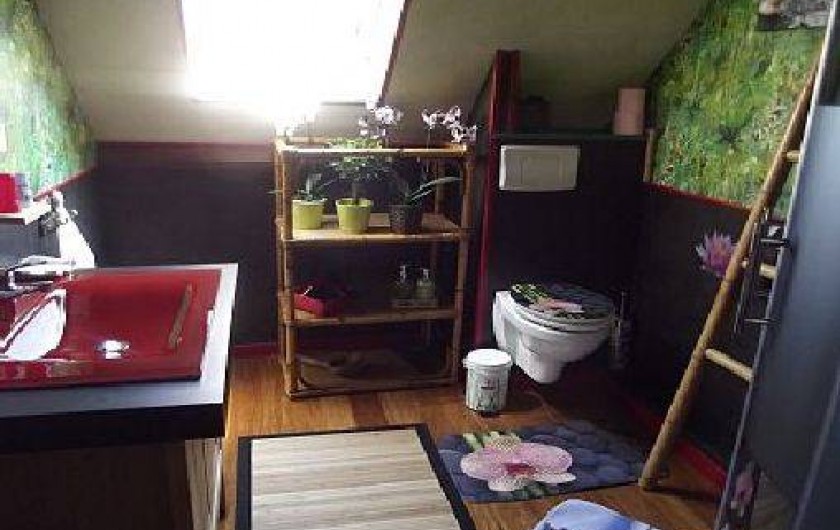 Location de vacances - Chambre d'hôtes à Blois