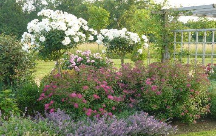 Location de vacances - Maison - Villa à Draché - Jardin anglais - parc de 2 hec