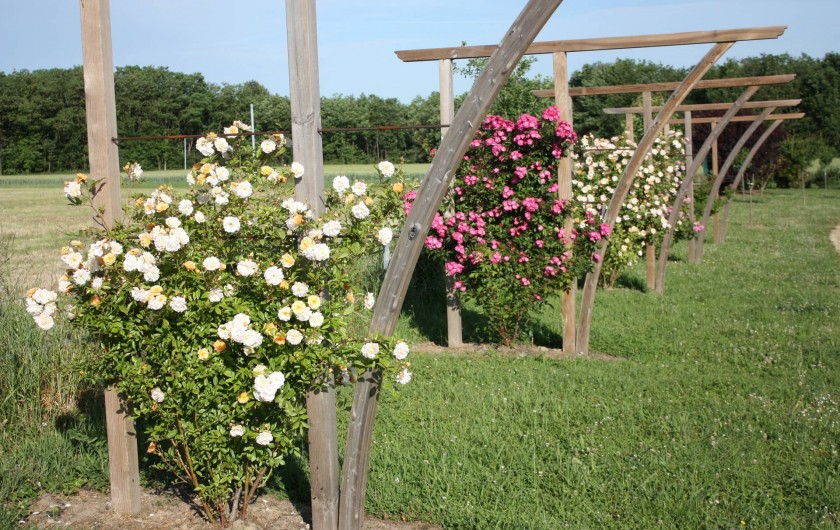Location de vacances - Maison - Villa à Draché - Arches de rosiers pour vous accueillir....