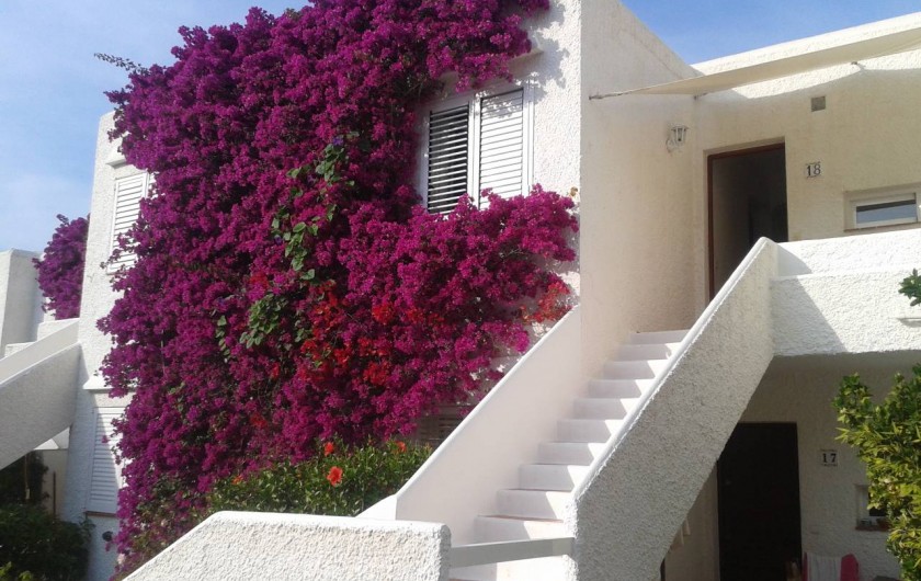 Location de vacances - Appartement à Santa Eulària des Riu