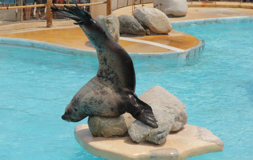 Location de vacances - Appartement à Cagnes-sur-Mer - Marineland