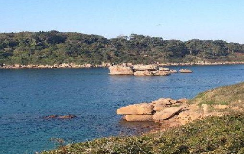 Location de vacances - Villa à Trébeurden