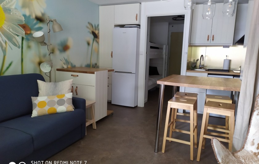 Location de vacances - Studio à Saint-Lary-Soulan - pièce à vivre avec canapé et fauteuil, coin-repas, commode-bureau, placard