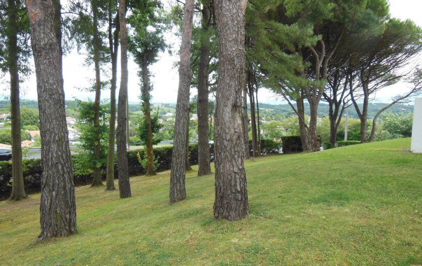 Location de vacances - Appartement à Bidart - Vue sur parc