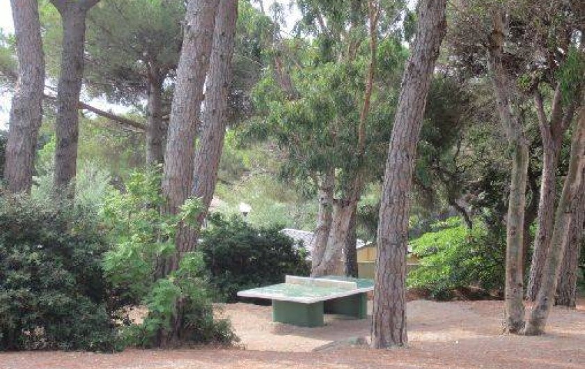 Location de vacances - Studio à Sainte-Maxime