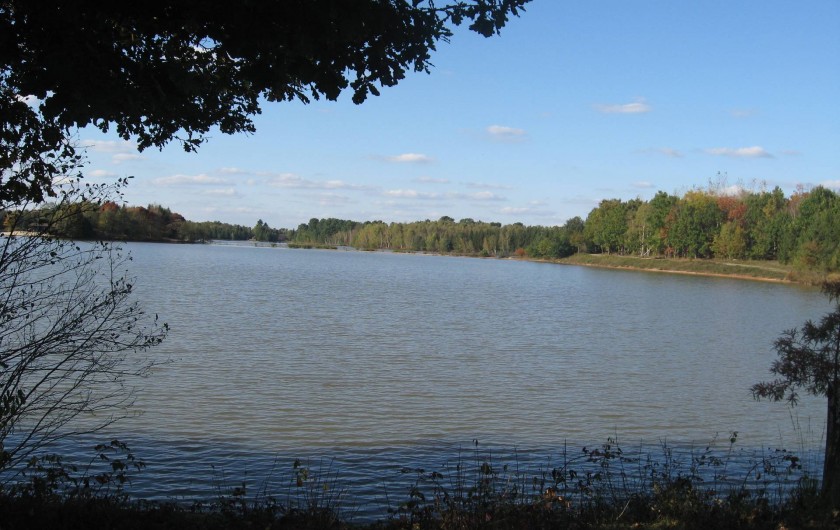 Location de vacances - Gîte à Souesmes - étang privé - PECHE - BAIGNADE