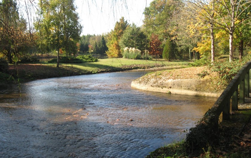 Location de vacances - Gîte à Souesmes - Rivière 1ère catégorie truites ...