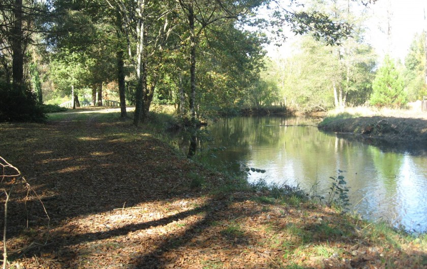 Location de vacances - Gîte à Souesmes - promenade le long de la rivière