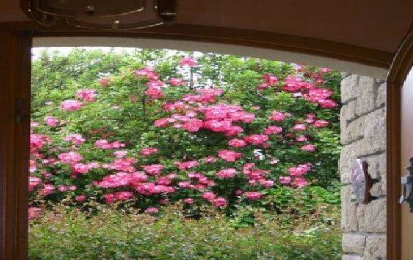 Location de vacances - Appartement à Quiberon