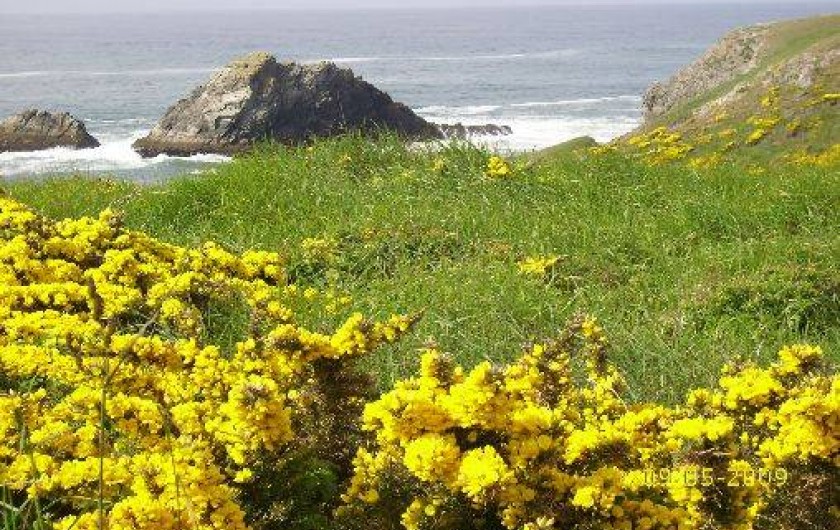 Location de vacances - Appartement à Quiberon