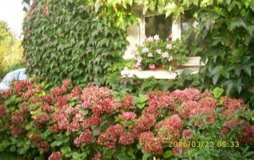 Location de vacances - Appartement à Quiberon