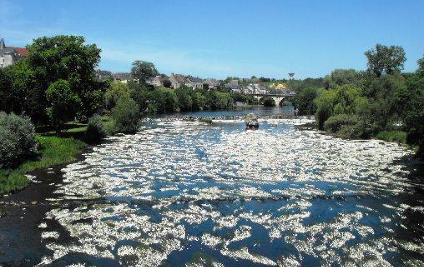 Location de vacances - Camping à Saint-Gaultier