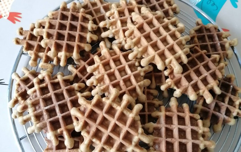 Location de vacances - Gîte à Alzon