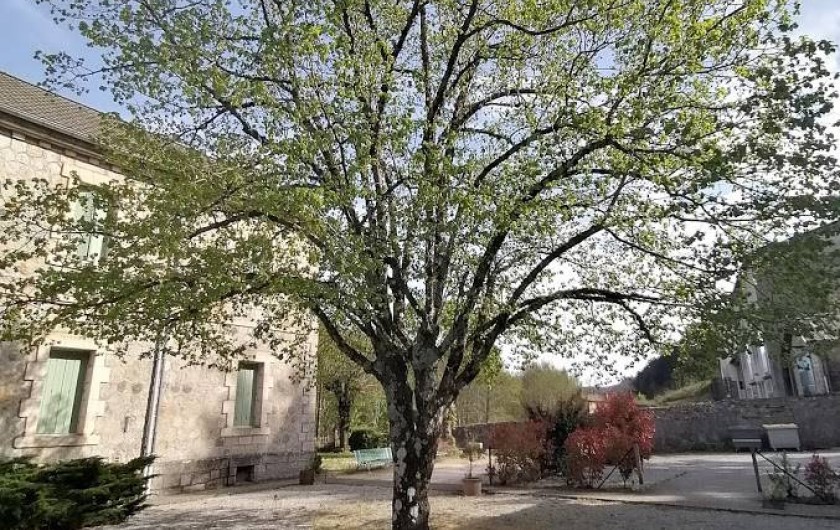 Location de vacances - Gîte à Alzon