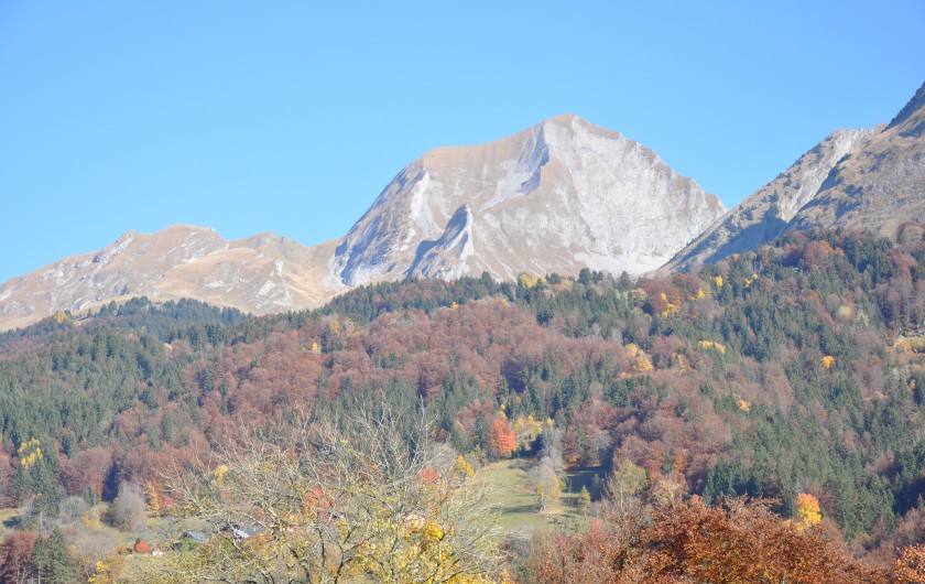 Location de vacances - Chalet à Thônes