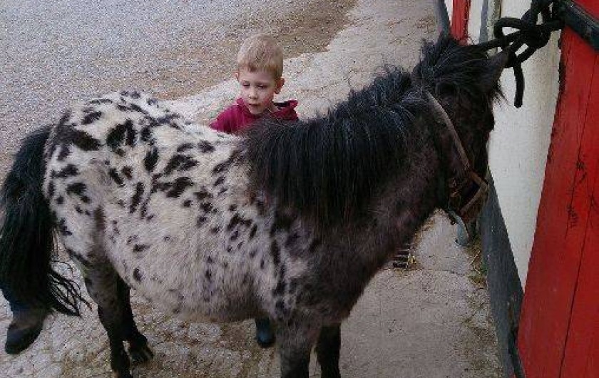 Location de vacances - Gîte à Saint-Martin-Choquel