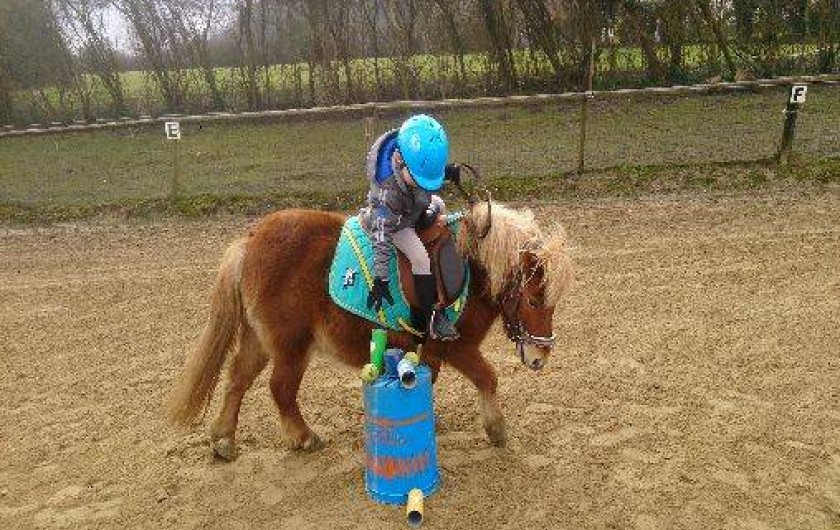 Location de vacances - Gîte à Saint-Martin-Choquel