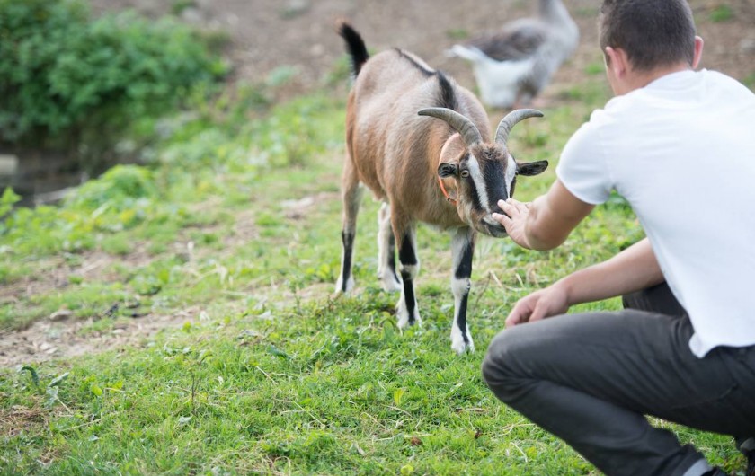Location de vacances - Gîte à Saint-Martin-Choquel