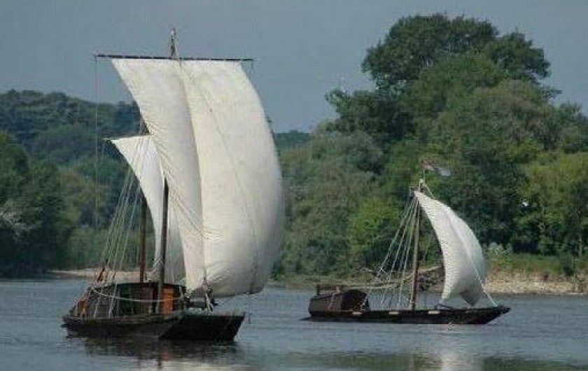 Location de vacances - Maison - Villa à Fondettes