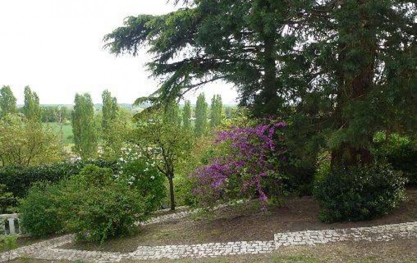 Location de vacances - Maison - Villa à Fondettes